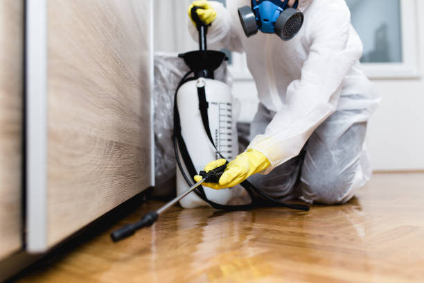 Flea Control Services in Salinas, CA