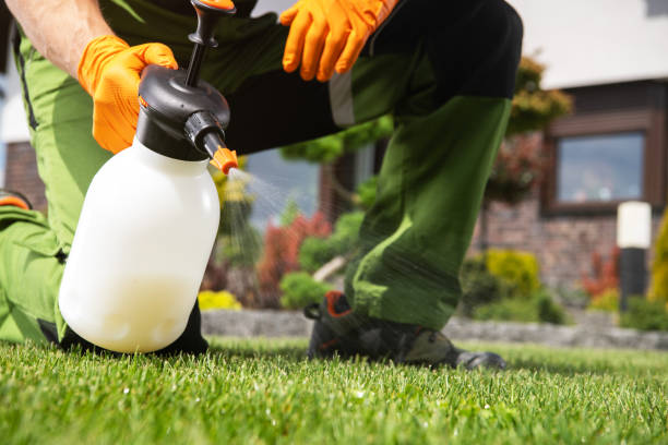 Best Bird Control  in Salinas, CA