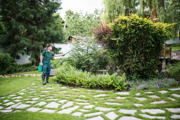 Best Local Pest Control Services  in Salinas, CA