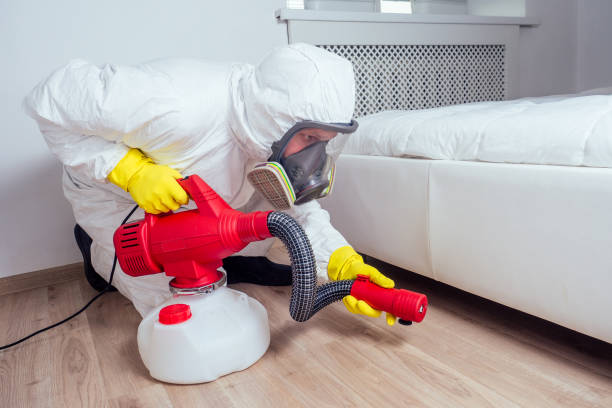 Wasp Removal Services in Salinas, CA