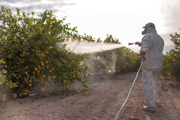 Best Commercial Pest Control Services  in Salinas, CA