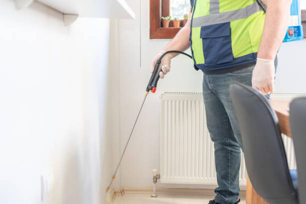 Best Ant Control Services  in Salinas, CA