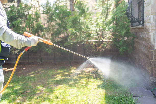 Best Pest Control Near Me  in Salinas, CA