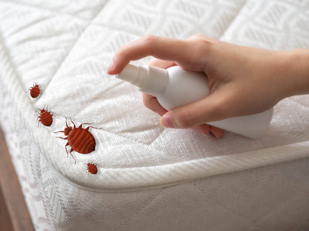 Best Emergency Pest Control  in Salinas, CA