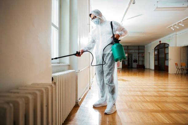 Best Best Pest Control Companies  in Salinas, CA