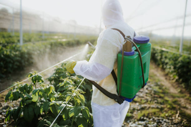 Best Exterminator Services  in Salinas, CA